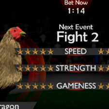 Cock Fighting